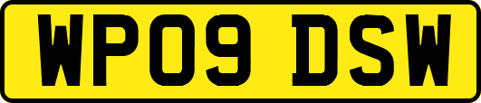WP09DSW
