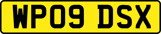 WP09DSX