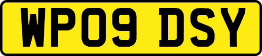 WP09DSY