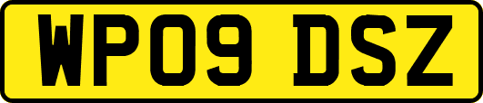 WP09DSZ