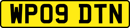 WP09DTN
