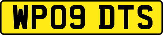 WP09DTS