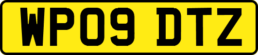 WP09DTZ