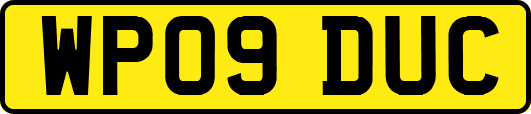 WP09DUC