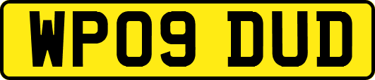 WP09DUD
