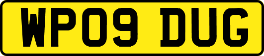 WP09DUG