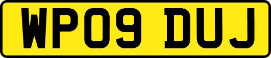 WP09DUJ