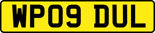 WP09DUL