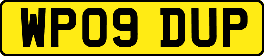 WP09DUP