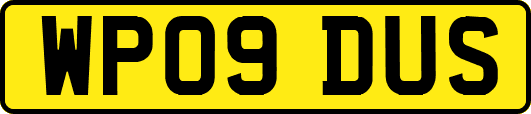 WP09DUS