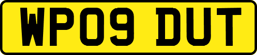 WP09DUT