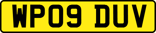 WP09DUV
