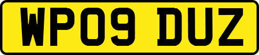 WP09DUZ