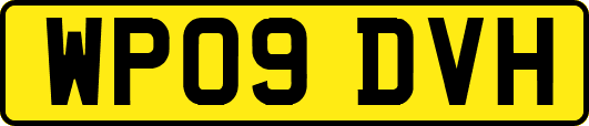WP09DVH