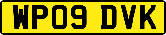 WP09DVK