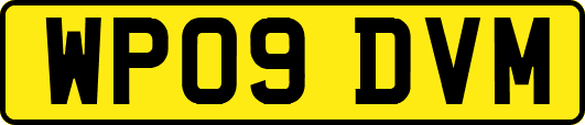 WP09DVM