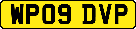 WP09DVP