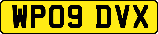 WP09DVX
