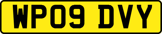 WP09DVY