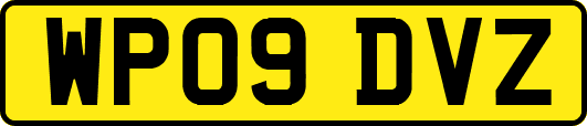 WP09DVZ