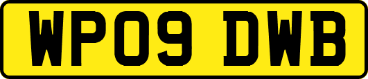 WP09DWB