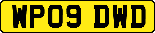 WP09DWD