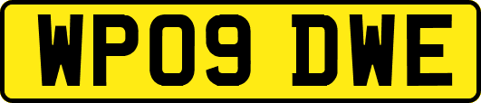WP09DWE