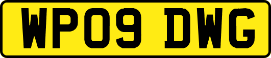 WP09DWG