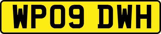 WP09DWH