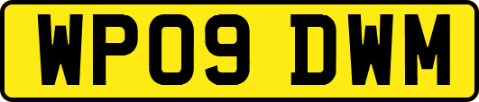 WP09DWM