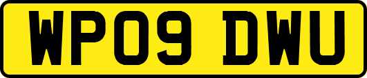 WP09DWU