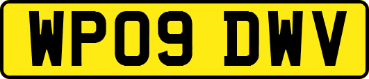 WP09DWV