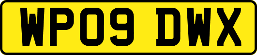 WP09DWX