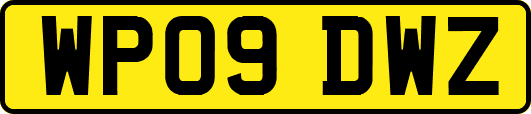 WP09DWZ