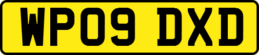 WP09DXD