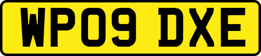 WP09DXE