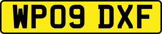 WP09DXF