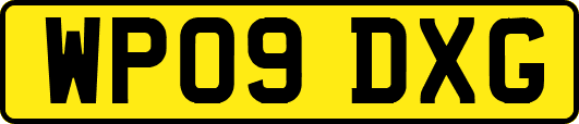 WP09DXG