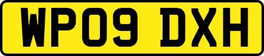 WP09DXH