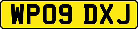 WP09DXJ