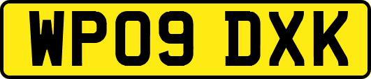 WP09DXK