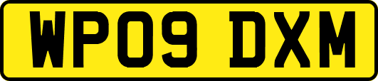 WP09DXM