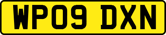 WP09DXN