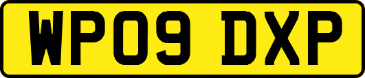 WP09DXP