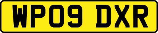 WP09DXR