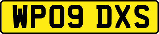 WP09DXS