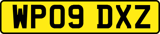 WP09DXZ
