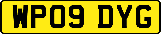 WP09DYG