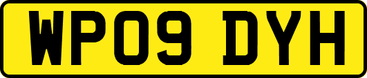 WP09DYH