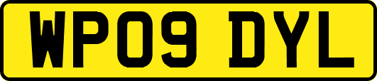 WP09DYL